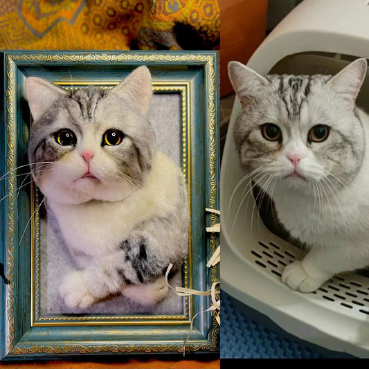 Handmade Custom Cat Wool Needle Felting Portrait, Pet Sculpture Memorial Gift (Half Body + Frame)